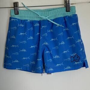Prodoh Boys Boogie‎ Board shorts NWT size 4T